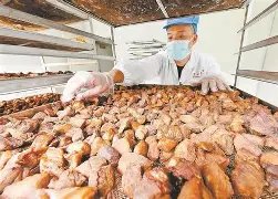 穆古鲁扎巅峰对决，字母哥与40激战巴塞罗那分钟，败北胜负难料！的简单介绍