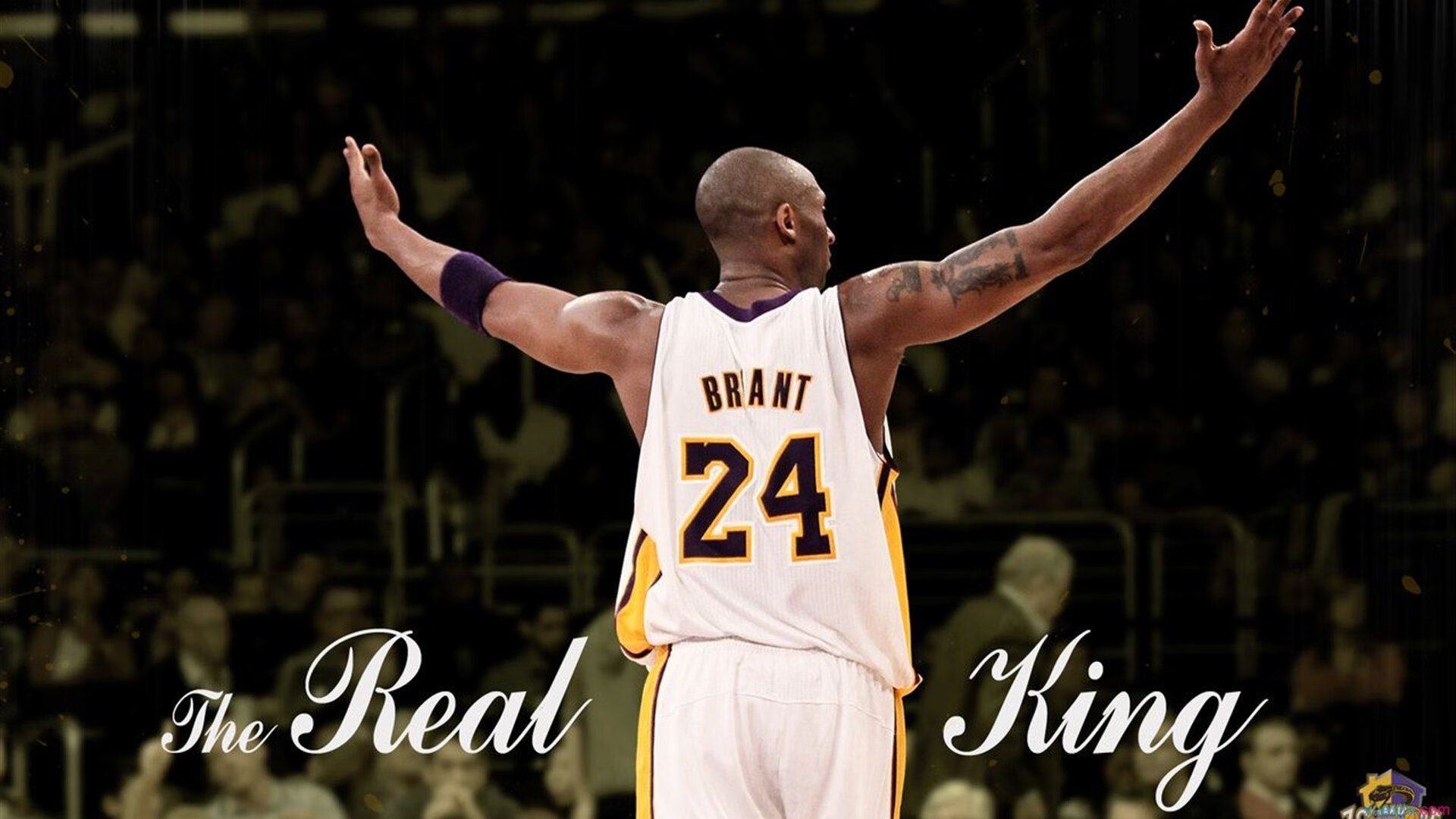 数据复盘：国际米兰季后赛对阵休斯顿火箭，张本智和效率值爆表